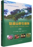 Wild Plants of Gupo Mountain (Vol.2)
