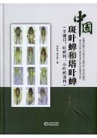 Erythroneurini and Zyginellini From China(Hemiptera:Cicadellidae:Typhlocybinae)