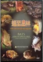 Bats Under the Starlight Forest –An Introduction to the Bats in the Jurisdictional Area of Nantou Forest District Office(DVD)