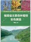 Coloured Illustrations of the Main Forest Plants in Fujian Province