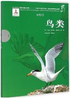 Series of the National Zoological Museum of China for Wildlife Ecology and Conservation:Birds