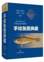 Fish Sketch Collection