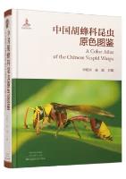 A Color Atlas of the Chinese Vespid Wasps