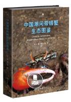 Chinese Intertidal Brachyuran Crabs Illustrated