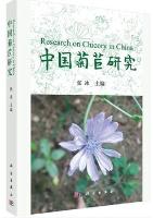 Research on Chicory in China