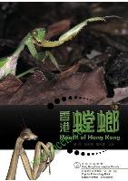 Mantis of Hong Kong