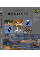 Atlas of Wild Birds in Kashgar, Xinjiang, China