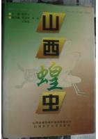 Grasshoppers and Locusts from Shanxi