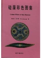 Colour Plates of the Diatoms (Ebook)