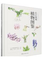 Illustrated Guide to Plants in the Yangtze River Basin (Vol.2)