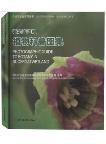 Photographic Guide to Botany in Ruoergai Wetland