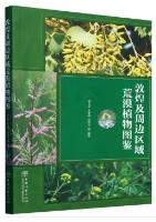 Atlas of Desert Plants in Dunhuang and Surrounding Areas