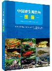 Native Ornamental Fish of China -Illustrated Book