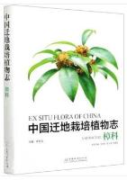 Ex Situ Flora of China-Lauraceae