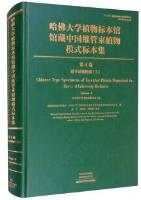 Chinese Type Specimens of Vascular Plants Deposited in Harvard Univrsity Herbaria Volume 4 Dicotyledoneae (3)