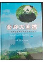 Giant Panda of Qinling - The 4th Survey Report on Giant Panda in Shaanxi Province 