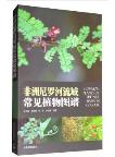 Common Plants of the Nile Basin in Colour