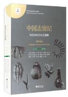 Silurian Stratigraphy and Index Fossils of China