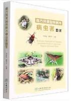 Illustrated Handbook of Diseases and Insect Pests of Landscape Trees in Southern China