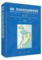 Sediment Type Map of the Bohai Sea, Yellow Sea and East China