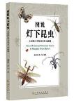 Atlas of Common Phototactic Insects in Shanghai Green Spaces