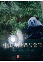 Giant Panda and Eating Bamboo in China