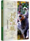 Sichuan's Golden Snub-Nosed Monkey-The Golden Sprite in the woods