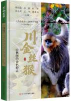 Sichuan's Golden Snub-Nosed Monkey-The Golden Sprite in the woods
