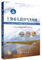 The Birds of Shanghai Jiuduansha Wetland