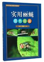 Practical Color Atlas of Calliphoridae