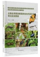 Field Guide to Common Insects in the Huize Black-necked Crane National Nature Reserve, Yunnan