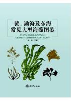 Atlas of Common Macroalgae in the Yellow Sea, Bohai Sea and East China Sea