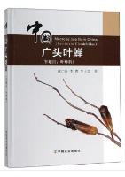 Macropsinae from China (Hemiptera: Cicadellidae)