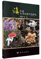 Color Atlas of Macrofungi in Southeast Yunnan