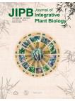 Journal of Integrative Plant Biology Vol.64,Issue 3, Mar,2022