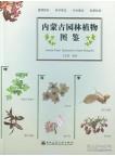 Garden Plants Illustrations in Inner Mongolia 