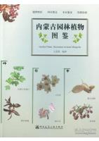 Garden Plants Illustrations in Inner Mongolia 