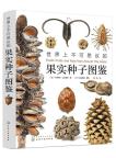 Exotic Fruits and Nuts from Around the World
