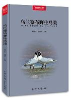 Wild Birds in Ulanqab