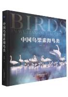 Birds in Wuliangsuhai,China