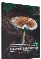 Brief Atlas of Common Poisonous Mushrooms in Yunnan Province