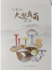 Illustrated Guide to Macrofungi of Wumeng Mountain