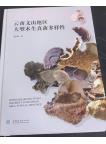 Wood Inhabiting Fungi Diversity in Wenshan Area Yunnan Province