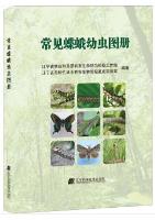 Atlas of Common Butterfly and Moth Larvae