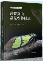 Common Agricultural and Forestry Insects in Gaoligong Mountain