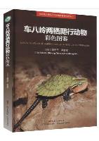 Colored Atlas of Amphibians and Reptiles in Chebaling