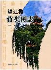 Atlas of Bamboo in Wangjianglou