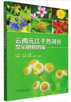 Atlas of Common Plants in Dry Hot Valley of Yuanjiang River, Yunnan