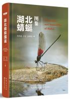 Dragonflies and Damselflies of Hubei