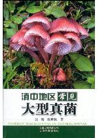 Common Macrofungi in Central Yunnan